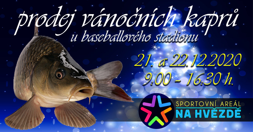 Prodej vánočních kaprů Prodej vánočních kaprů